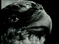 Videos Musicales de 22_pistepirkko