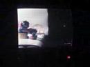 Video Giochi - P.A.D. @ Folletto25603 Video Giochi - P.A.D. @ Folletto25603
