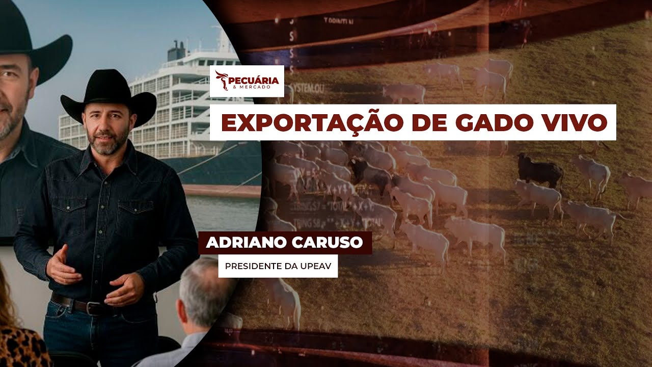 Entidade defende exportação de animais vivos feita diretamente entre pecuaristas e compradores...