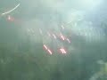 Salida NOB - Ultimo partido de Villar en el Coloso Salida NOB - Ultimo partido de Villar en el Coloso