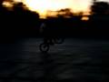videos de weelie son