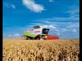 CLAAS Kombajny zbożowe