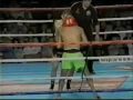 Highlight Video
