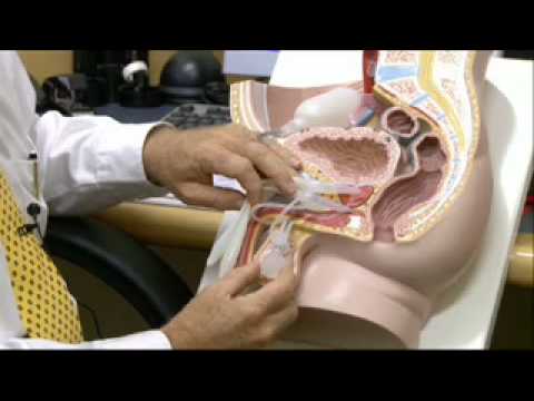 how to treat australian doctor