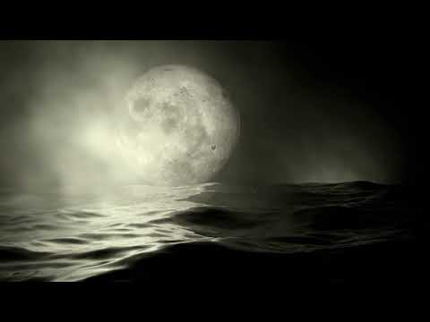 GLARE OF THE SUN XI ::: Actualités Musique Videos sur ROOOAR (FR)