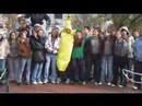 Adventures of Elf and Banana - Wish You a Merry Christmas Adventures of Elf and Banana - Wish You a Merry Christmas