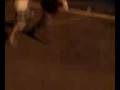 videos de fight.3g2