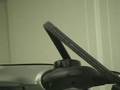 Rocky-eating-a-Wire