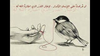 مخيم المية ومية