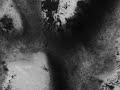 Vegetation ! Life on Mars ! The Ultimate Proof !