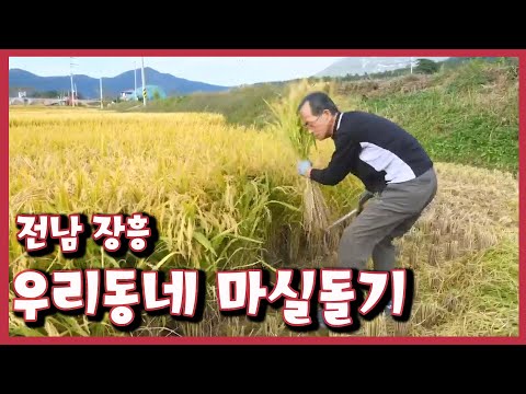 [남도지오그래피] 우리동네 마실돌기, 전남 장흥