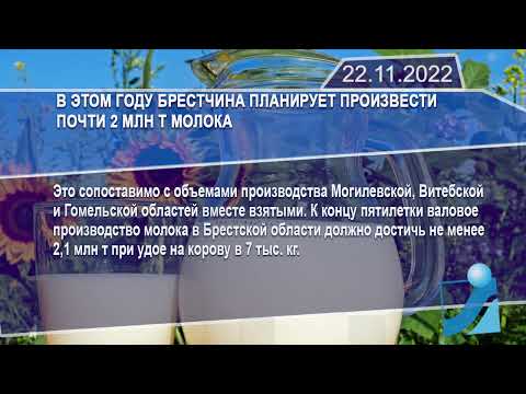 Новостная лента Телеканала Интекс 22.11.22.