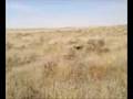 videos de Jade hunting 2