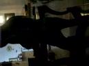 videos de for iveteee