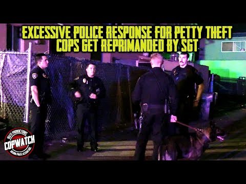 Excessive Police Response for Petty Theft | Cops Get Reprimanded by Sgt ...