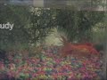 Zen Goldfish - Poop