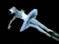 videos de Morte do Cisne (ballet)