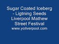 sugar coated iceburg the lightning seeds mathew street fest