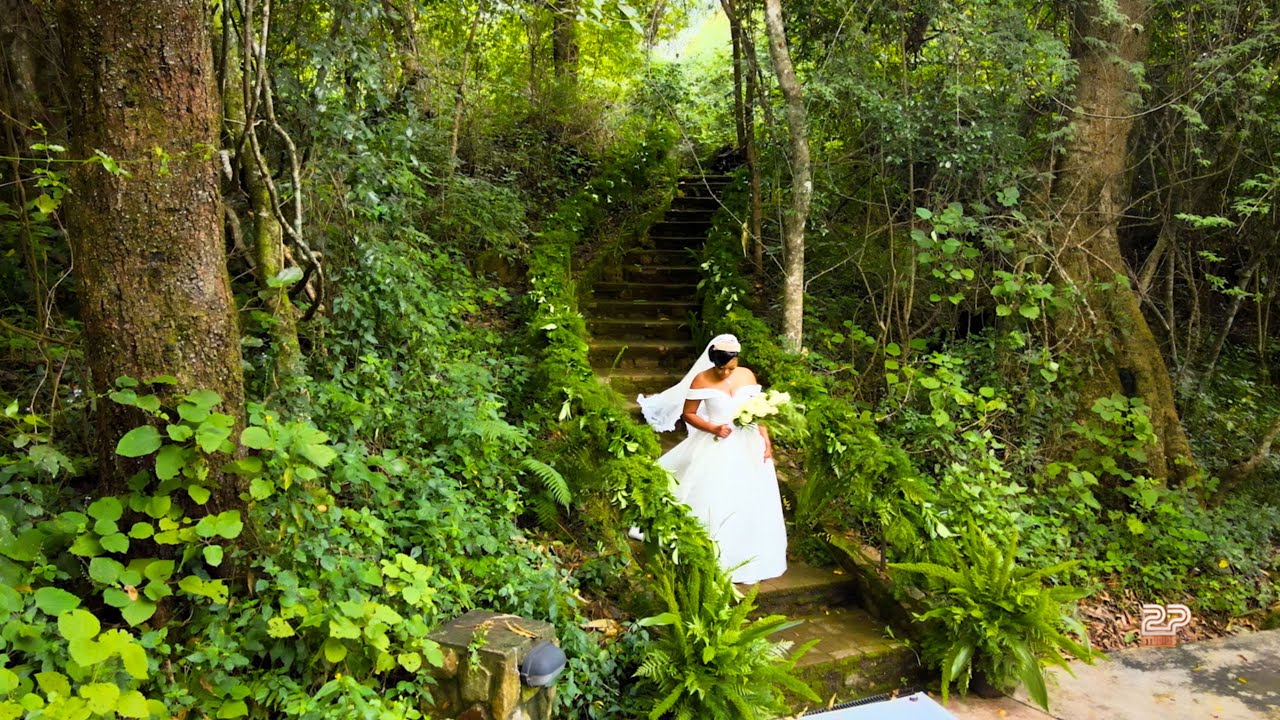 Tshepo & Mokgadi's Wedding at Tzaneen- Eden Gate wedding Venue
