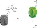 Caged Quantum Dots Caged Quantum Dots