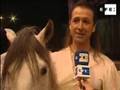 Cavalia, el espect...