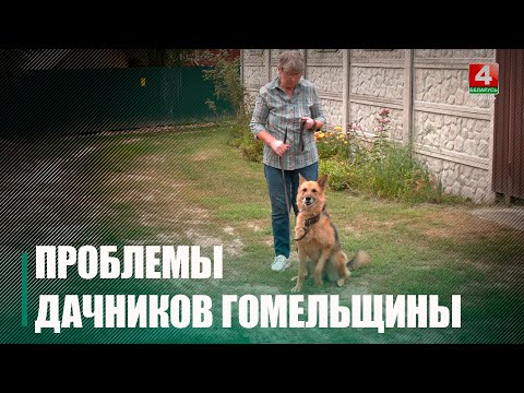 Узнали, какие проблемы волнуют дачников Гомельщины и что делается для их решения видео