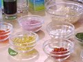 Living Well: Supplements and Nutraceuticals