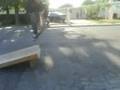 stvie skateboarding