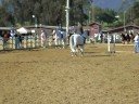 santa barbara jumping