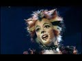 CATS Montage with Veerle / Massey CATS Montage with Veerle / Massey