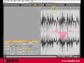 Ableton Live-Clip Based Automation