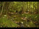 Moonstone/Hillsdale Property part 2 of 2