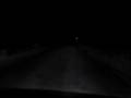 Bigfoot... at night!!