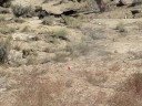 Tannerite Fun Tannerite Fun