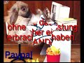 die wahrheit von paypal keinpaypal de