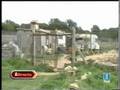 Mutilaciones en L'Escala (Girona)