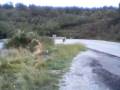videos de Climb up to Castel Rigone 3.asf