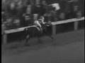 Seabiscuit vs. War Admiral...