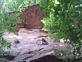 See video