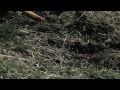 Clips from THE QUESTER