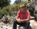 Tanami Track and Songlines Talk