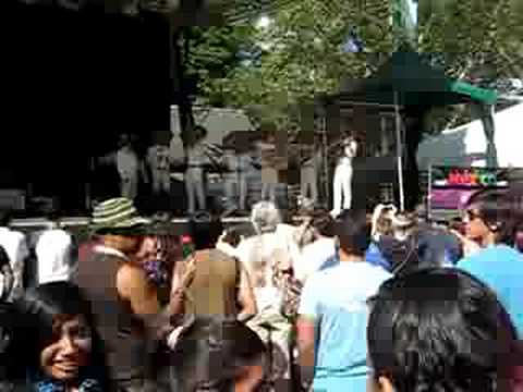 kinky summerstage