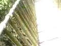 en el puente divertido :P