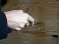 videos de Benchmade Infidel into spruce board