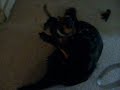 000_1728.mov
