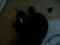 videos de 000_1728.mov