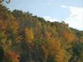 Fall in New England