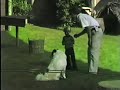 Rare 1983 Cat and Canine Show Part 1 Rare 1983 Cat and Canine Show Part 1