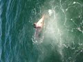 Kronix Backflip Kronix Backflip