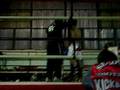 videos de EL LEON DI ROCCO.